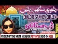 NOORANI DHAMAL CHALORE SAKHIEN CHALEN BY SURIYA MASTANI SUPER HIT DHAMAL NOORANI NP GOLD