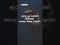 Unveiling The Secrets Of Sinhala WhatsApp Status Wadan Short