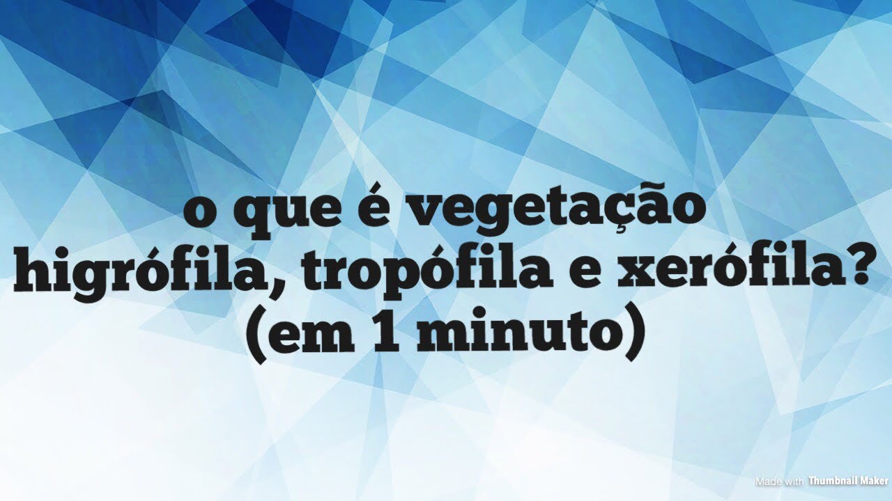 O Que É Vegetação Higrófila, Tropófila e Xerófila (em 1 minuto)