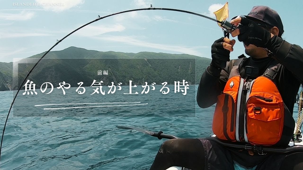 魚のやる気が上がる時
