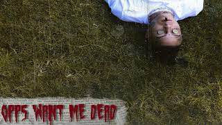 Lil Skies - Opps Want Me Dead (Official Audio)