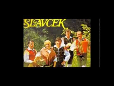 Ansambel Slavček-Dolenjski gadi