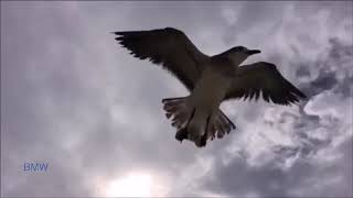 Download lagu INIYORU jANMAMUNDENGIL-เดเดจเดฟเดฏเตเดฐเต เดเดจเตเดฎเดฎเตเดฃเตเดเตเดเตเดเดฟเดฒเตโ mp3 Download lagu INIYORU jANMAMUNDENGIL-เดเดจเดฟเดฏเตเดฐเต เดเดจเตเดฎเดฎเตเดฃเตเดเตเดเตเดเดฟเดฒเตโ mp3