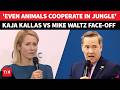 Unmissable US EUROPE Fight At Munich Mike Waltz CLASHES With Kallas Over Trump Onslaught WATCH