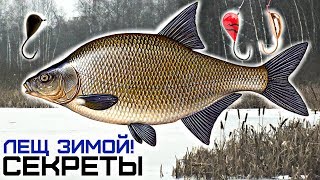 Как заставить леща клевать. если вообще бесклевие