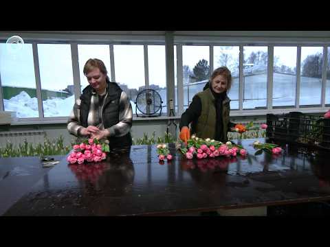 НОВОСТИ УТРА – 20 февраля 2026