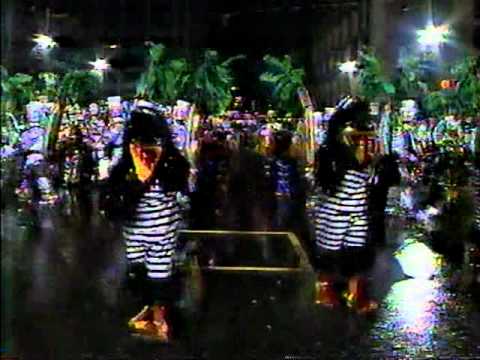 1989 Ukranian American String Band - Our Fine Feathered Friends