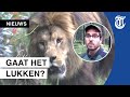 Spanning in dierenpark: ‘Vorige keer ging het mis’