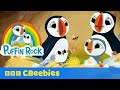 Puffin Rock Official Trailer CBeebies