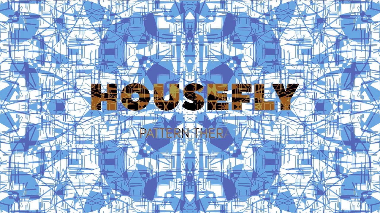 Housefly