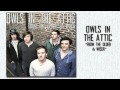 Owls in the Attic - From the Older & Wiser 