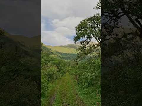 Reserva Laguna de Yala #jujuy #lagunadeyala