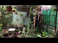 Kitchen Garden Overview Garden In Home Ideas June 2017 Gardening Sekho