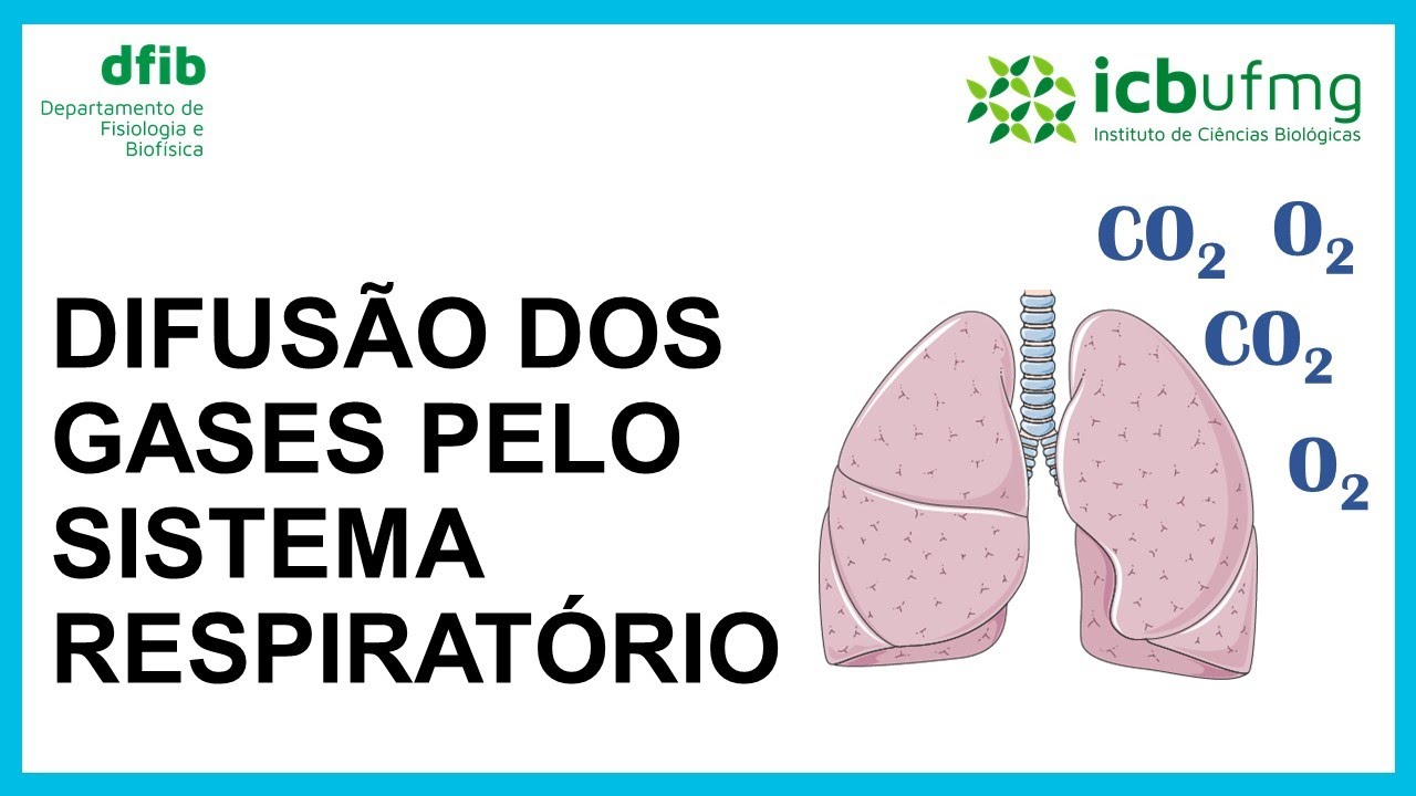 Difusão dos gases pelo sistema respiratório