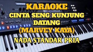 Download lagu Karaoke CINTA SENG KUNJUNG DATANG //Marvey Kaya - Music By Putra mp3 Download lagu Karaoke CINTA SENG KUNJUNG DATANG //Marvey Kaya - Music By Putra mp3