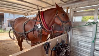 What do you think?... Has Earl improved any in the Trailer?? #845