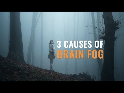 Can’t Think Straight? 3 Causes of Brain Fog