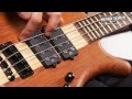Corvette $$ NT, 5 String, Bubinga, зображення 