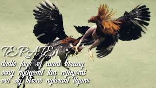 Download lagu story wa ayam jagone PSHT kren terbaru mp3