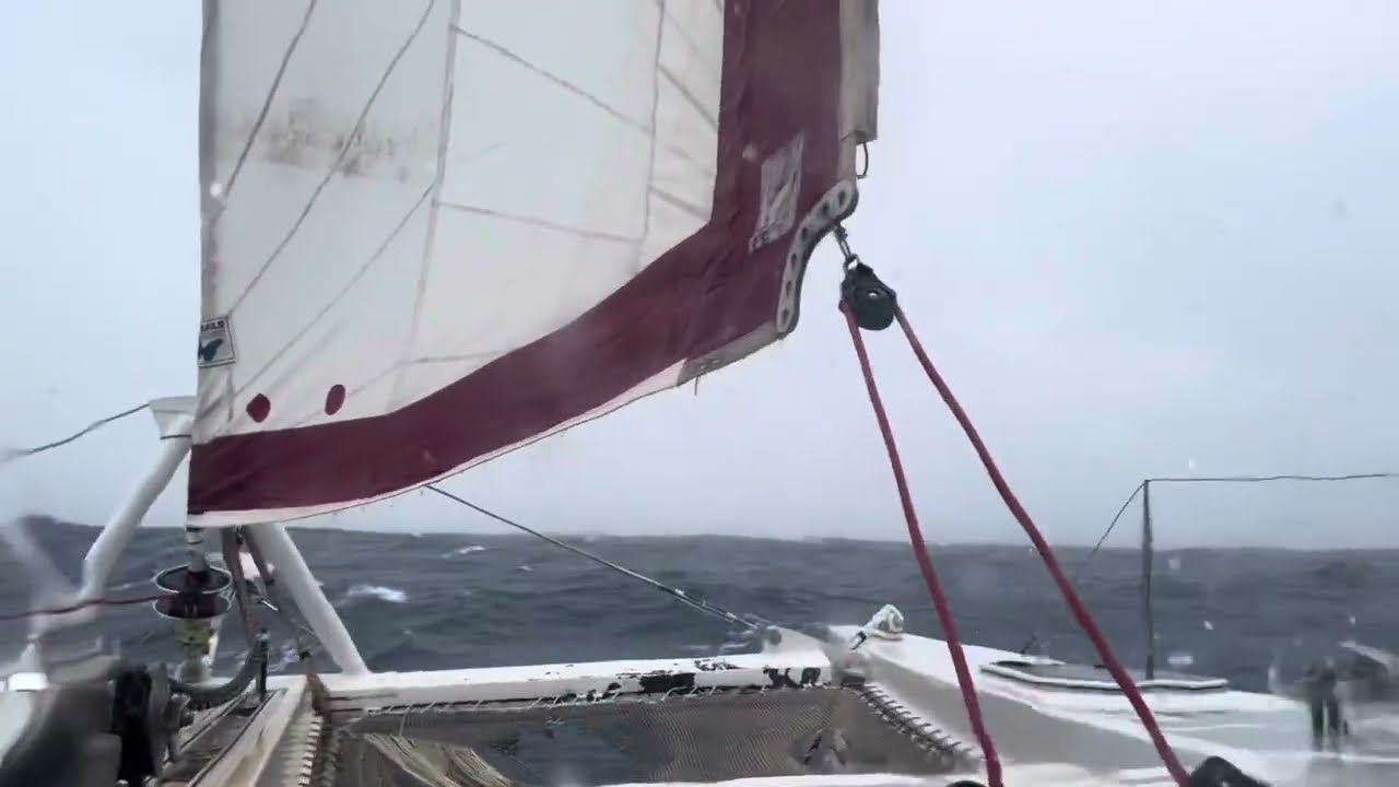 Live from the Les Saintes / Dominica channel