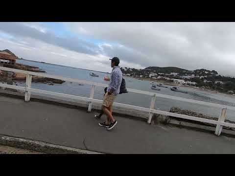 Island Bay, Wellington - New Zealand - 26/3/2023