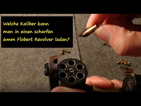 Which ammunition fits the live Mayer & Söhne Model 20 revolver in 6mm Flobert?