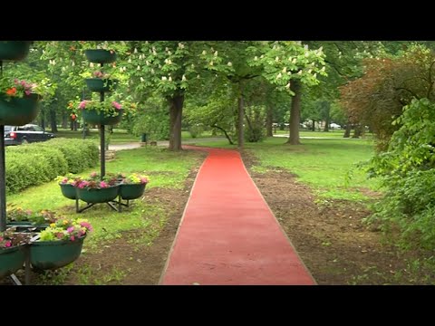 Videó előnézet