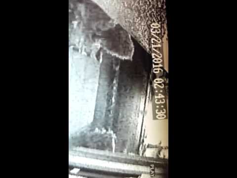 My 2008 nissan geting set on fire help me find the cab driver in the video