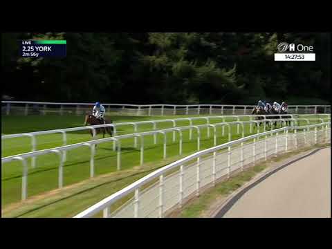 Lonsdale Cup Stakes - Gruppe 2