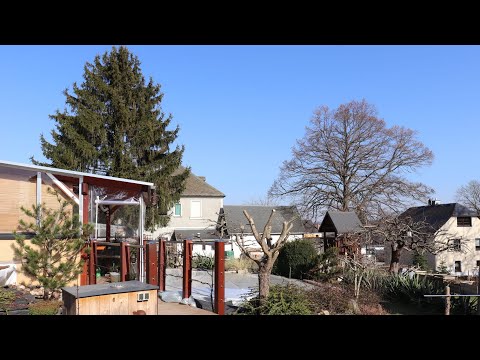 2022 Gartenrundgang mit Stachelbeer-Bonsai und anstehende Projekte