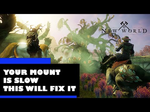New World Basic Mount Vitamins