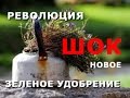 ЗЕЛЕНОЕ УДОБРЕНИЕ. НОВЫЙ СПОСОБ !!! ДЕЙСТВИЕ В НЕСКОЛЬКО РАЗ ЛУЧШЕ ПРЕДЫДУЩЕГО / GREEN MANURE ЗЕЛЕНОЕ УДОБРЕНИЕ. НОВЫЙ СПОСОБ !!! ДЕЙСТВИЕ В НЕСКОЛЬКО РАЗ ЛУЧШЕ ПРЕДЫДУЩЕГО / GREEN MANURE