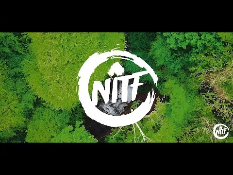 NITF Set The Scene - Glenoe Waterfall - Seedsy