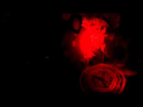 SAPPROPHITE SKULL CREW ULTRATUMBA RECS  THE NORDLAND ORCHESTA