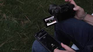 Panasonic Streaming sin cables con LUMIX GH5M2: descubre cómo grabar con la cámara y compartir desde el móvil anuncio
