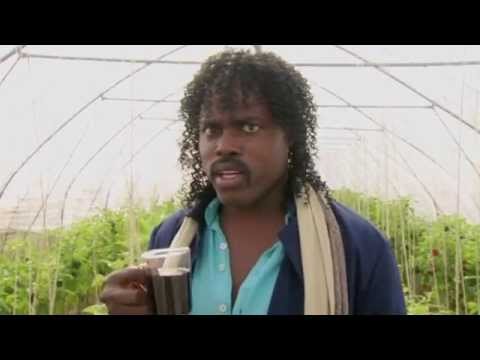 Biologische boem boem dingen in Koffie Met Sydney - DE DINO SHOW