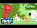 Sesame Street Play Hide And Seek Elmo Puppy Furry Friends Forever
