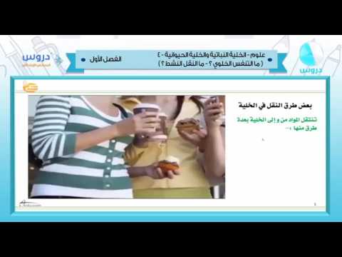 السادس الإبتدائي | الفصل الدراسي الأول 1438 | علوم | الخلية النباتية والخلية الحيوانية 4