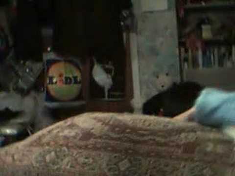 Puppet War - Episode 2