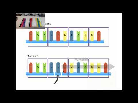 Molecular Genetics Lecture 4 Part 3- Chromosomal Alterations