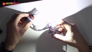 Fantom LED v.2 H11 5500K 12-24V [2 шт.] - відео 1