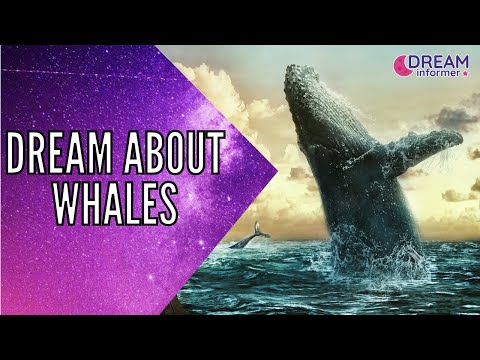 Dreams About Whales: Meaning and Symbolism