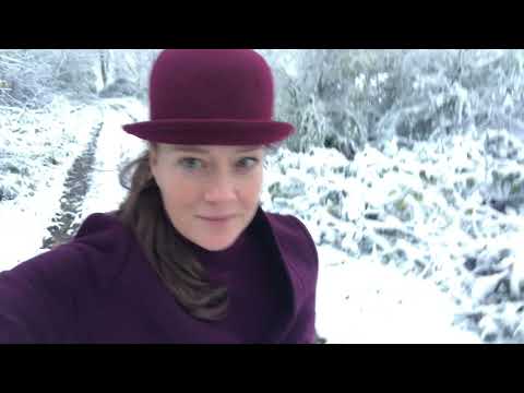 audioClaudia - Dilemma (English)