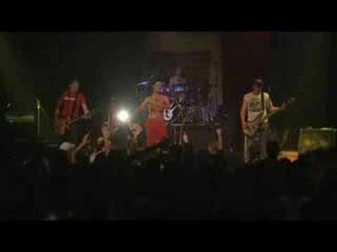 The Demencials - No ho pots haver oblidat