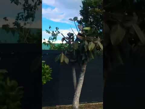 Nature # Beauty # New Lynn # Road View ☀️☃️🚗🌳💐🌹👨‍👩‍👧