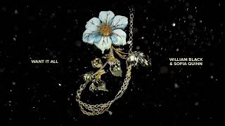 Cover art for Want It All