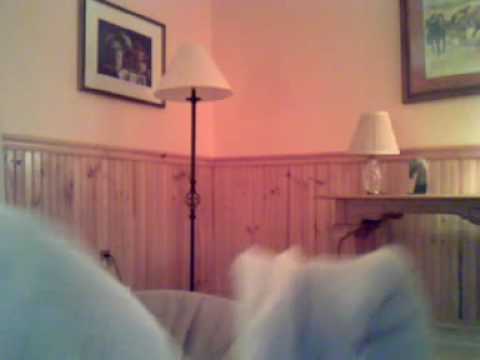 Nargon The Friendly Dragon That Gives Great Deals