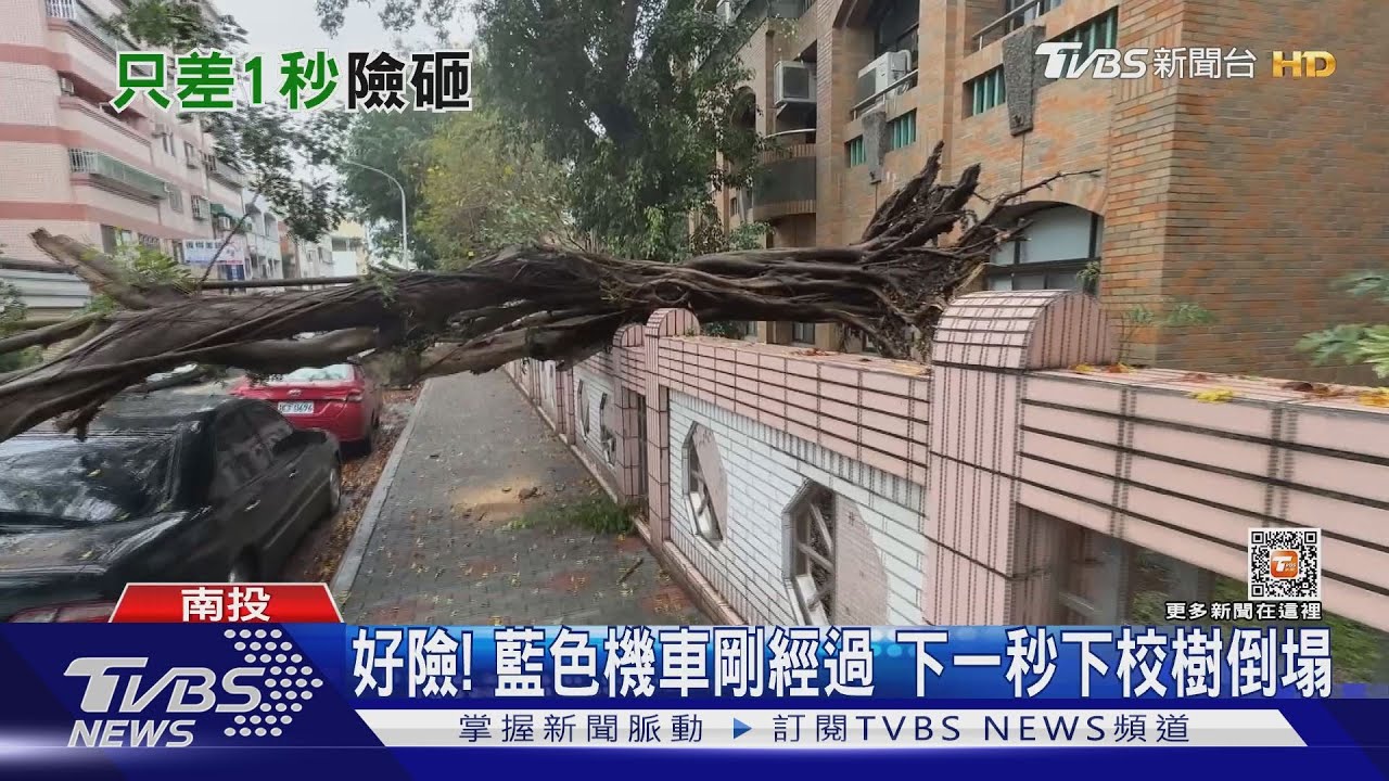 「你的車子被樹砸中了」　不是愚人節玩笑