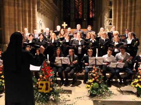 Hrvati narod Sv  Petra