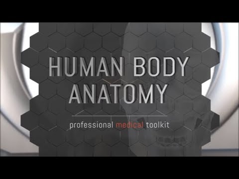 Washington University of Barbados Human body anatomy application